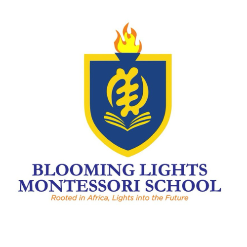 Blooming Lights College